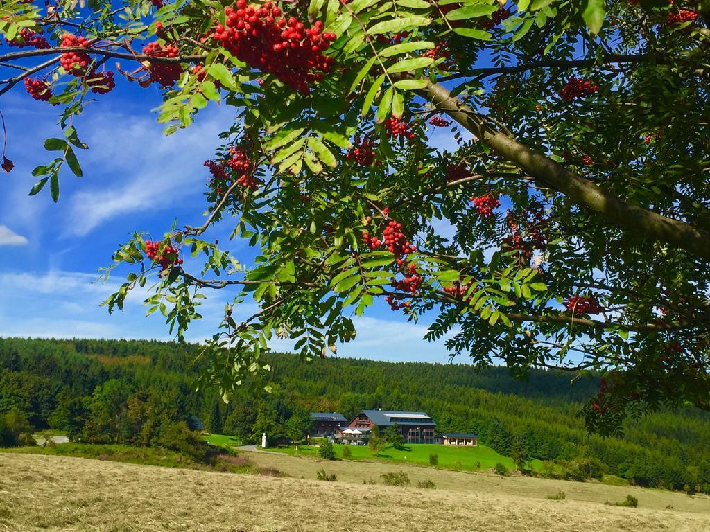 Hotel Jens Weissflog Oberwiesenthal Exteriör bild